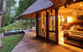 &Beyond Leadwood [320x200]